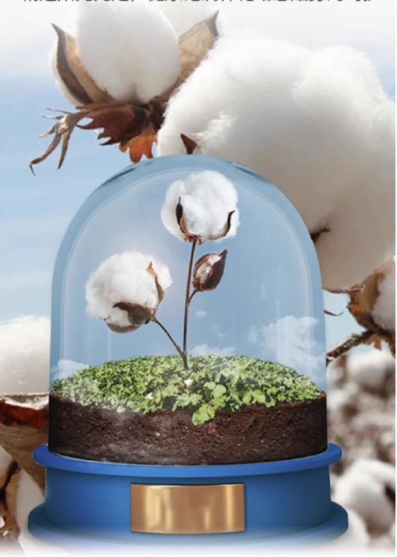 T-shirt Coton Abeille Fleurs Oversize Femme | MDN